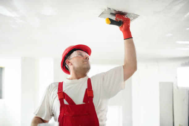 Best Eco-Friendly and Low-VOC Painting  in West Burlington, IA